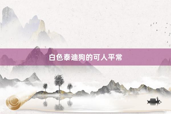 白色泰迪狗的可人平常